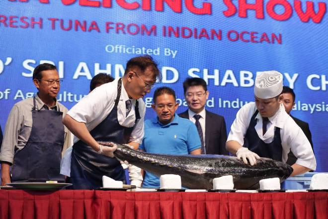 Industri Tuna Janjikan Pulangan Lumayan Utusan Borneo Online