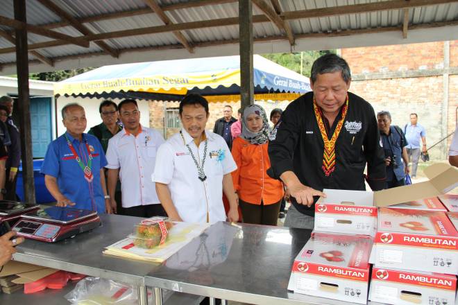 Rambutan Anak Sekolah laku di Eropah dan Timur Tengah 