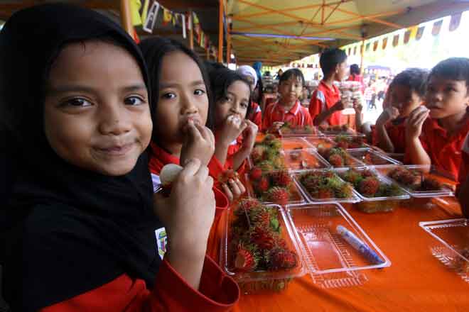 Kurang pengetahuan punca ramai rakyat Malaysia kurang makan buah 