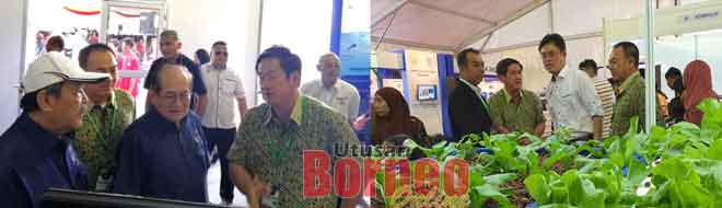 sistem aquaponic mampu jana pendapatan lumayan utusan