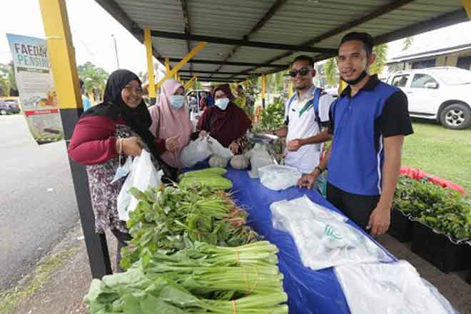 PENJANA bantu rancakkan sektor ekonomi, agromakanan ...