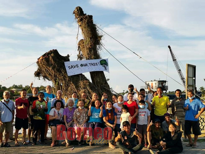 Sukarelawan selamatkan pokok besar di tebing sungai Dalat
