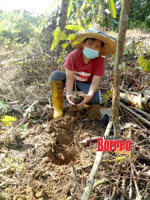 Alam Sekitar Tanggungjawab Bersama, wajar dihayati ...