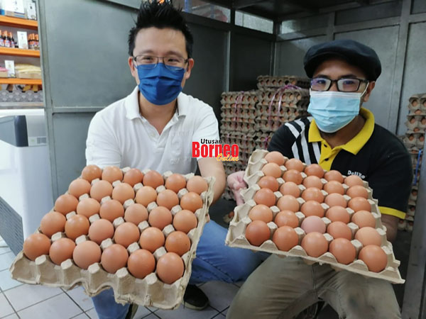 Peniaga Terpaksa Hadkan Pembelian Telur Ayam Utusan Borneo Online 0365