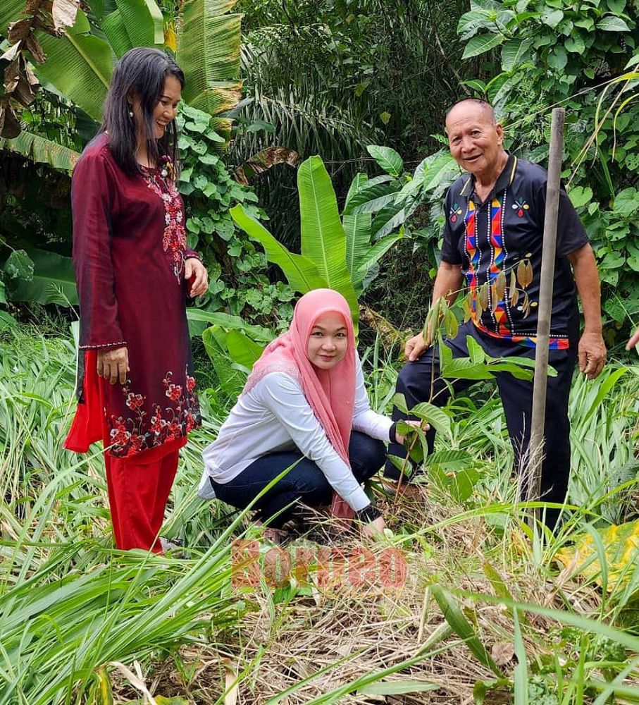 Gotong Royong Pupuk Semangat Sukarelawan Utusan Borneo Online 