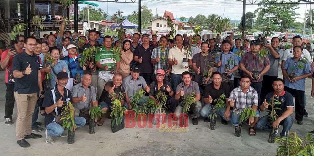 500 Pokok Benih Durian Musang King Diagihkan Kepada 72 Kampung Di Bingkor Utusan Borneo Online 1331