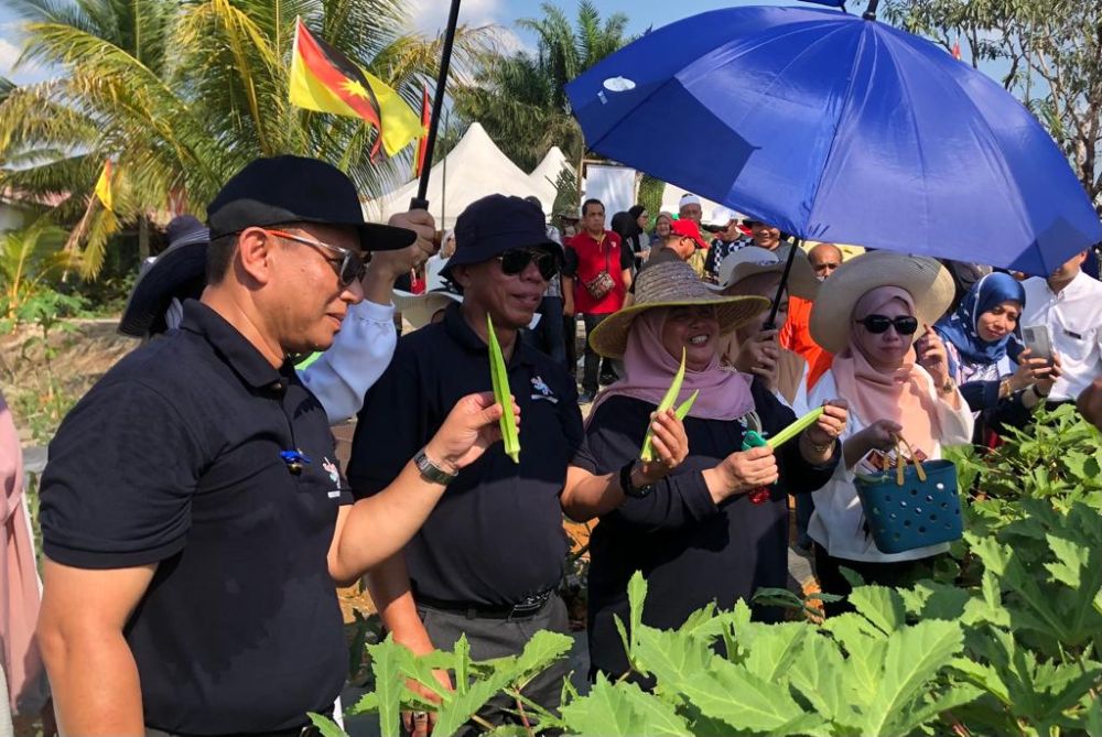 Rubiah (tiga kiri) menunjukkan hasil tanaman yang dituai pada majlis pelancaran projek Rakan Kebun SKoD di Kampung Seniawan, Kota Samarahan, hari ini. Turut kelihatan (dari kiri) Khairuddin dan Kamal.