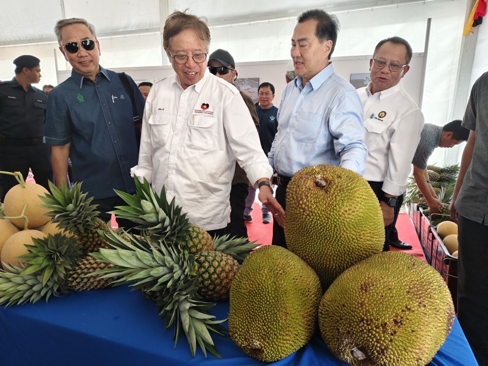 Abang Johari (tengah) teruja melihat buah-buahan segar yang dihasilkan di tapak projek pertanian pintar tersebut.